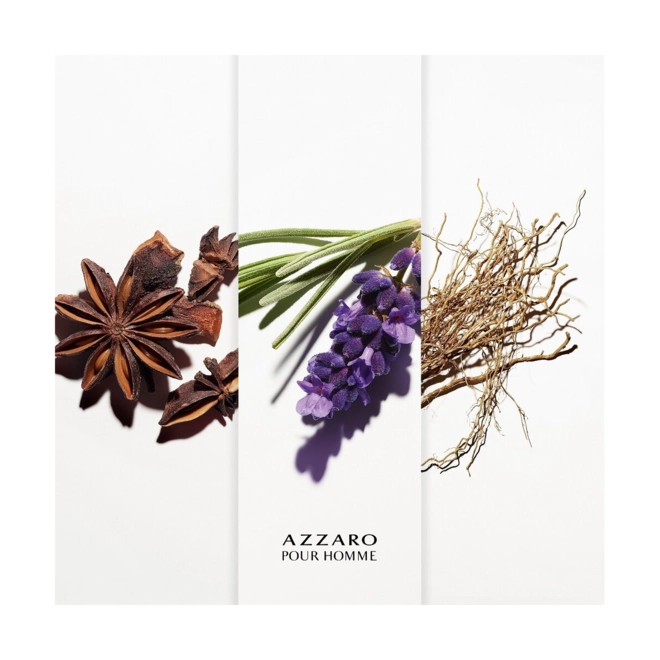 perfume azzaro pour homme masculino eau de toilette