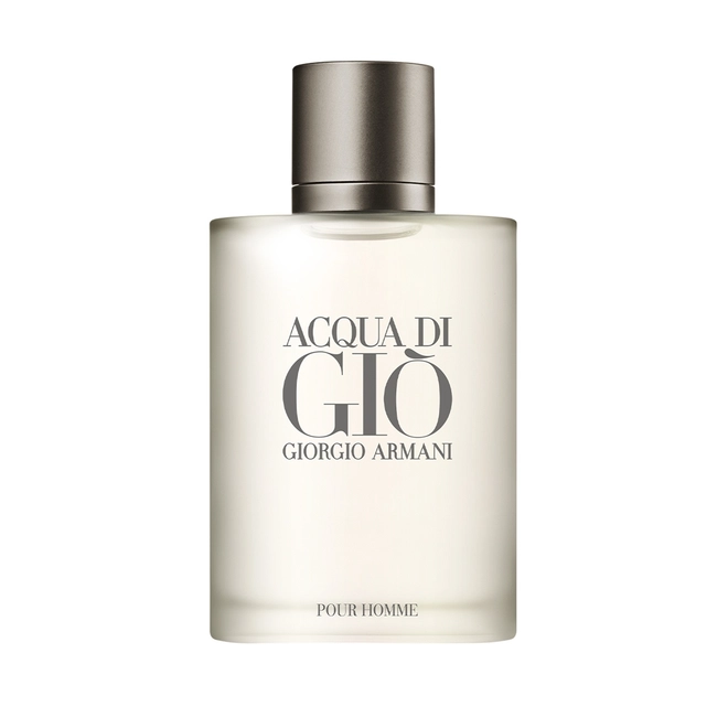 perfume giorgio armani acqua di gio masculino eau de toilette