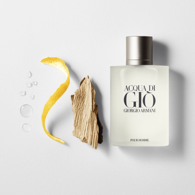 perfume giorgio armani acqua di gio masculino eau de toilette