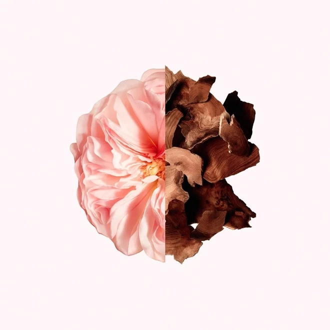 creme hidratante corporal givenchy irresistible