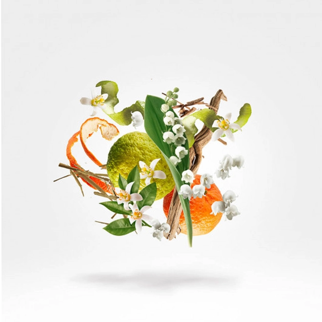 perfume xerjoff renaissance compartilhado eau de parfum