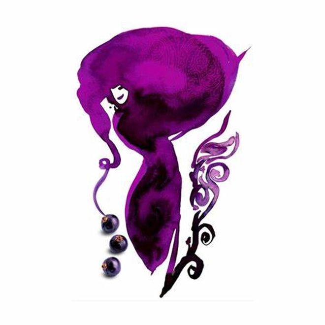 perfume etro paisley compartilhado eau de parfum