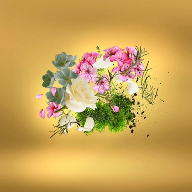 perfume casamorati casafutura compartilhado eau de parfum