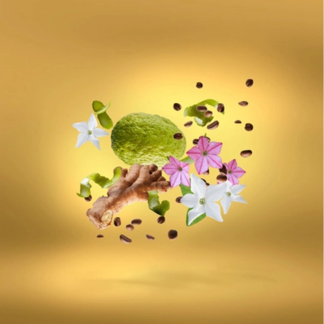 perfume xerjoff uden overdose compartilhado eau de parfum