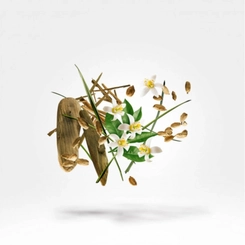 perfume xerjoff nio masculino eau de parfum