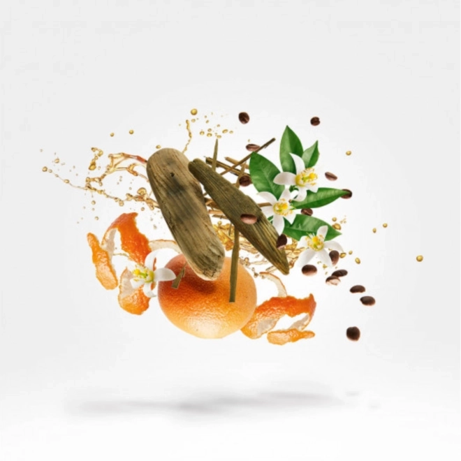 perfume xerjoff uden compartilhado eau de parfum