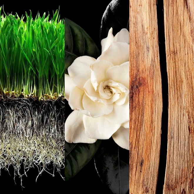 body spray masculino carolina herrera 212 nyc