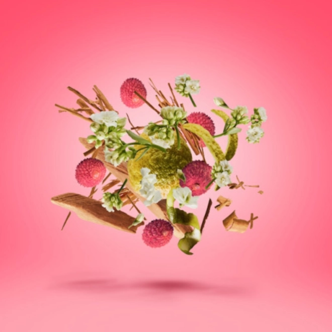 perfume xerjoff elle anniversary feminino eau de parfum