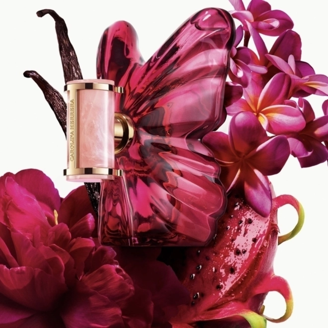 perfume carolina herrera la bomba feminino eau de parfum