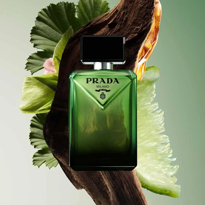 perfume prada paradigme masculino eau de parfum