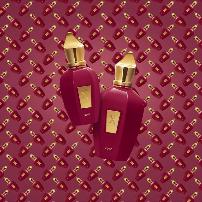 perfume xerjoff coro compartilhado eau de parfum