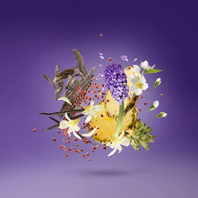 perfume xerjoff purple accento compartilhado eau de parfum