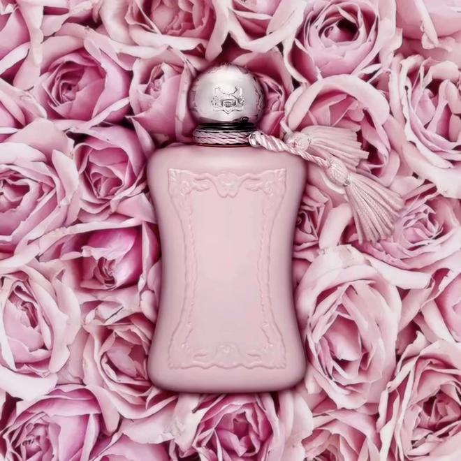 perfume parfums de marly delina feminino eau de parfum