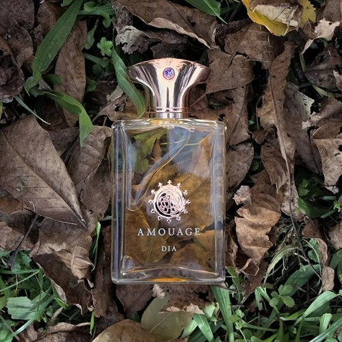 perfume amouage dia masculino eau de parfum