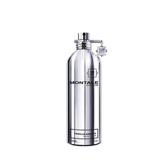 perfume montale vanille absolu feminino eau de parfum