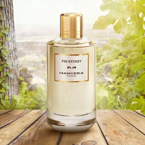 perfume mancera fig extasy compartilhado eau de parfum