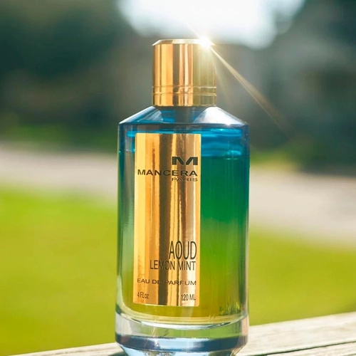 perfume mancera aoud lemon  mint compartilhado eau de parfum