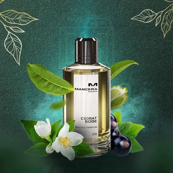 perfume mancera cedrat boise compartilhado eau de parfum