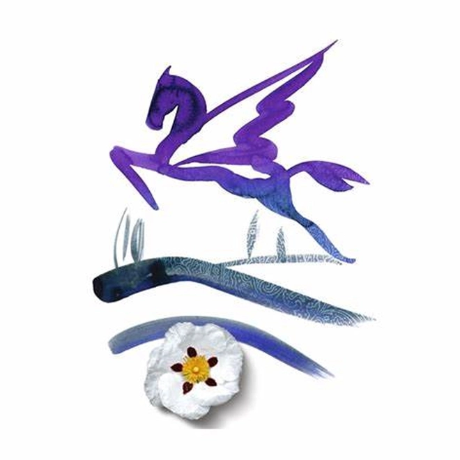 perfume etro pegaso compartilhado eau de toillete