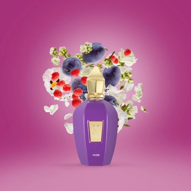Clique para visualizar. perfume xerjoff muse compartilhado eau de parfum
