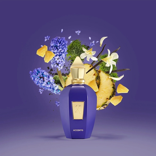perfume xerjoff  accento compartilhado eau de parfum