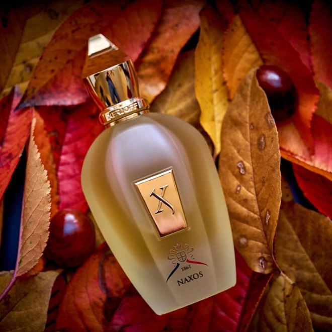 perfume xerjoff naxos compartilhado eau de parfum