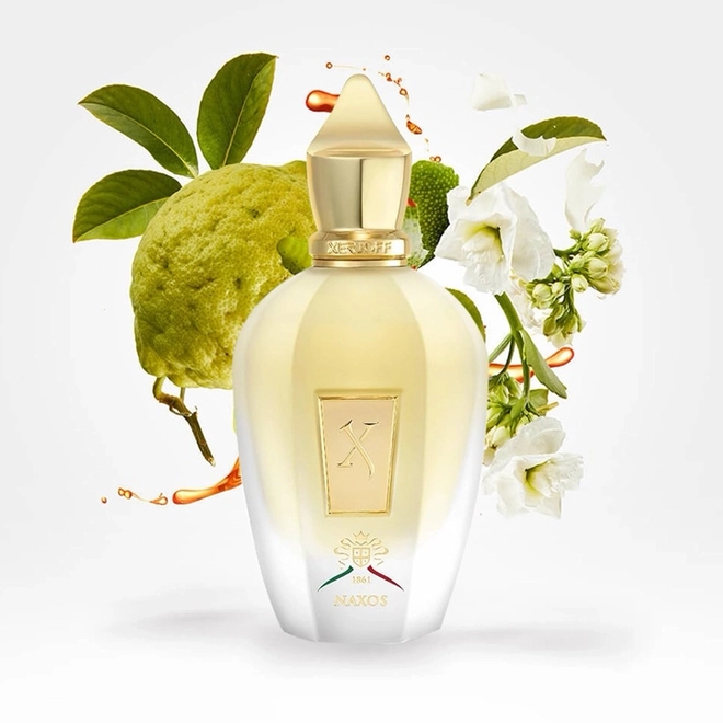 perfume xerjoff naxos compartilhado eau de parfum