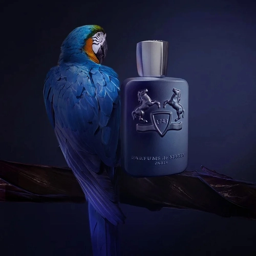 perfume parfums de marly layton masculino eau de parfum