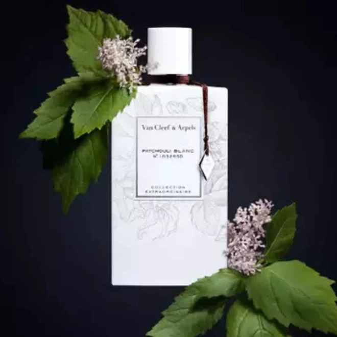 perfume van cleef patchouli blanc compartilhado eau de parfum