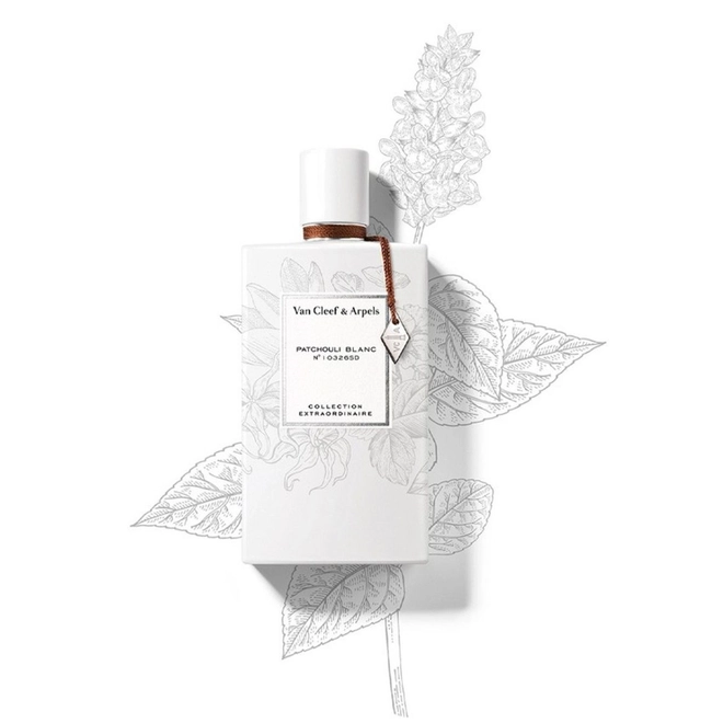 perfume van cleef patchouli blanc compartilhado eau de parfum