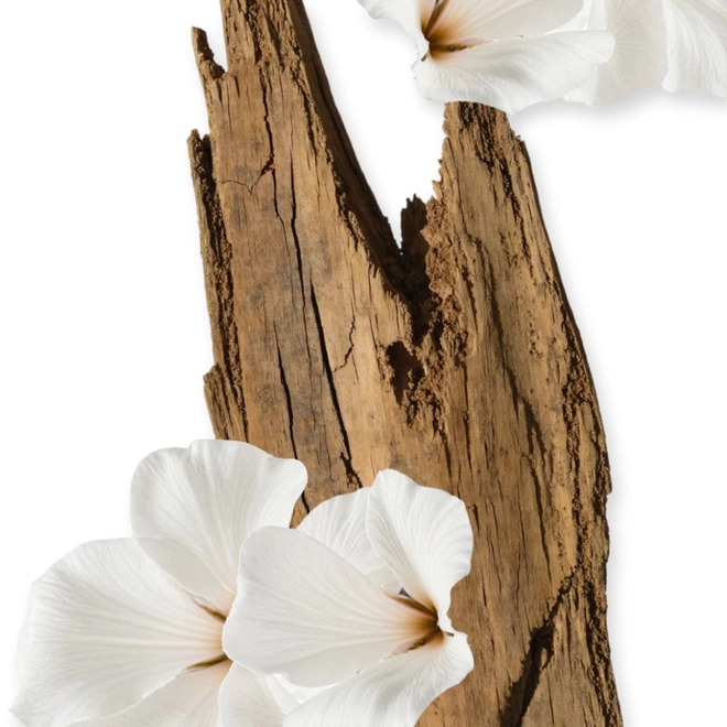 perfume de cabelo parfums de marly valaya hair mist