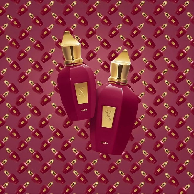 perfume xerjoff coro compartilhado eau de parfum
