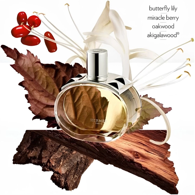 kit hermes barenia feminino eau de parfum 60 ml + mini 15 ml
