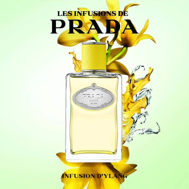 perfume prada les infusions d'ylang compartilhado eau de parfum