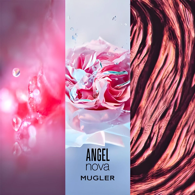 perfume thierry mugler angel nova feminino eau de parfum