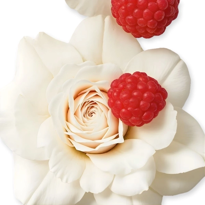 perfume parfums de marly meliora feminino eau de parfum