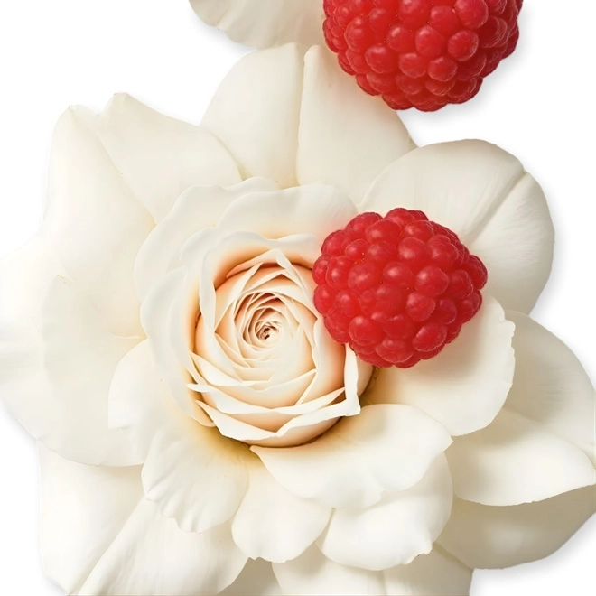 perfume parfums de marly meliora feminino eau de parfum