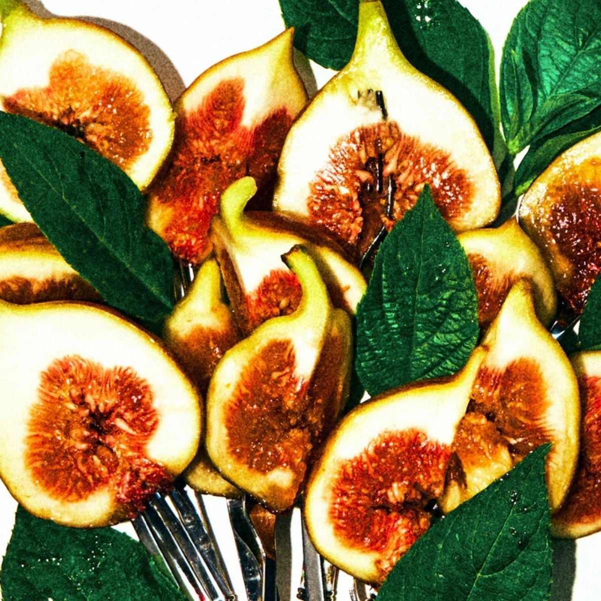 perfume borntostandout fig porn compartilhado eau de parfum 50 ml 4