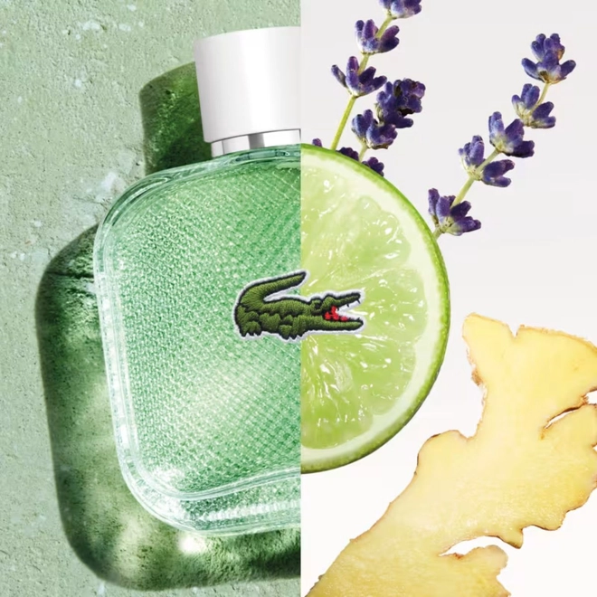 perfume lacoste l.12.12 blanc eau fraiche masculino eau de toilette