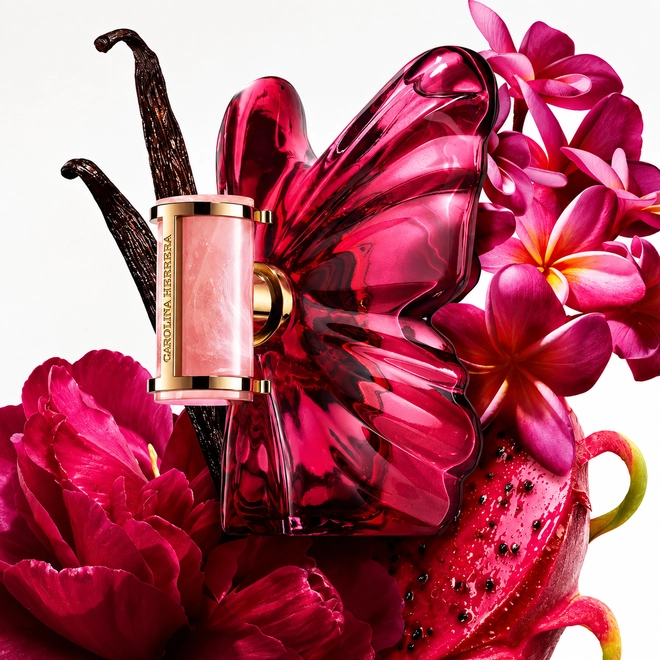 perfume carolina herrera la bomba intensa feminino eau de parfum